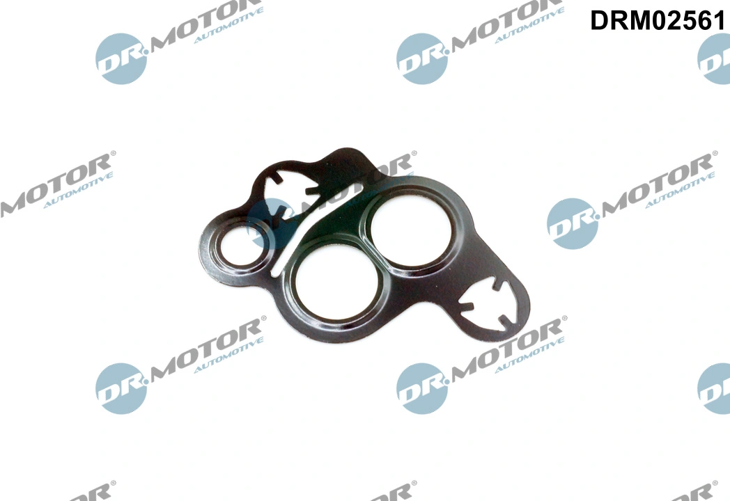 Gasket, EGR valve